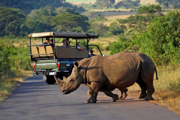 Hluhluwe-Game-Reserve-Wild-life-Tour Hluhluwe-Game-Reserve-Wild-life-Tour